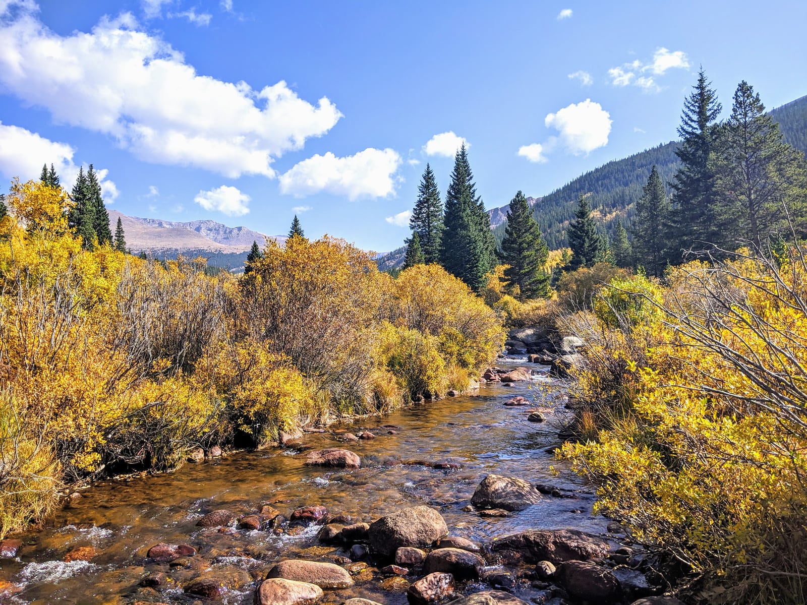 A rocky creek running through yellow autumn shrubs and pines toward distant peaks.
