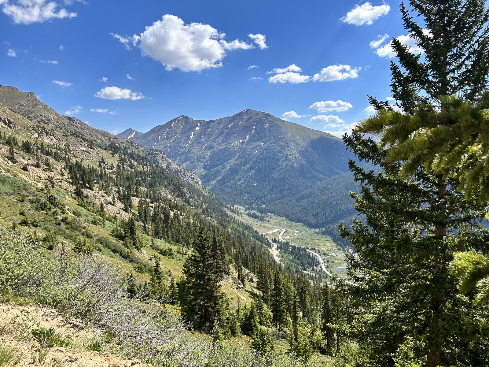 Sunlit Colorado mountain slopes and a winding valley, framed by pines.