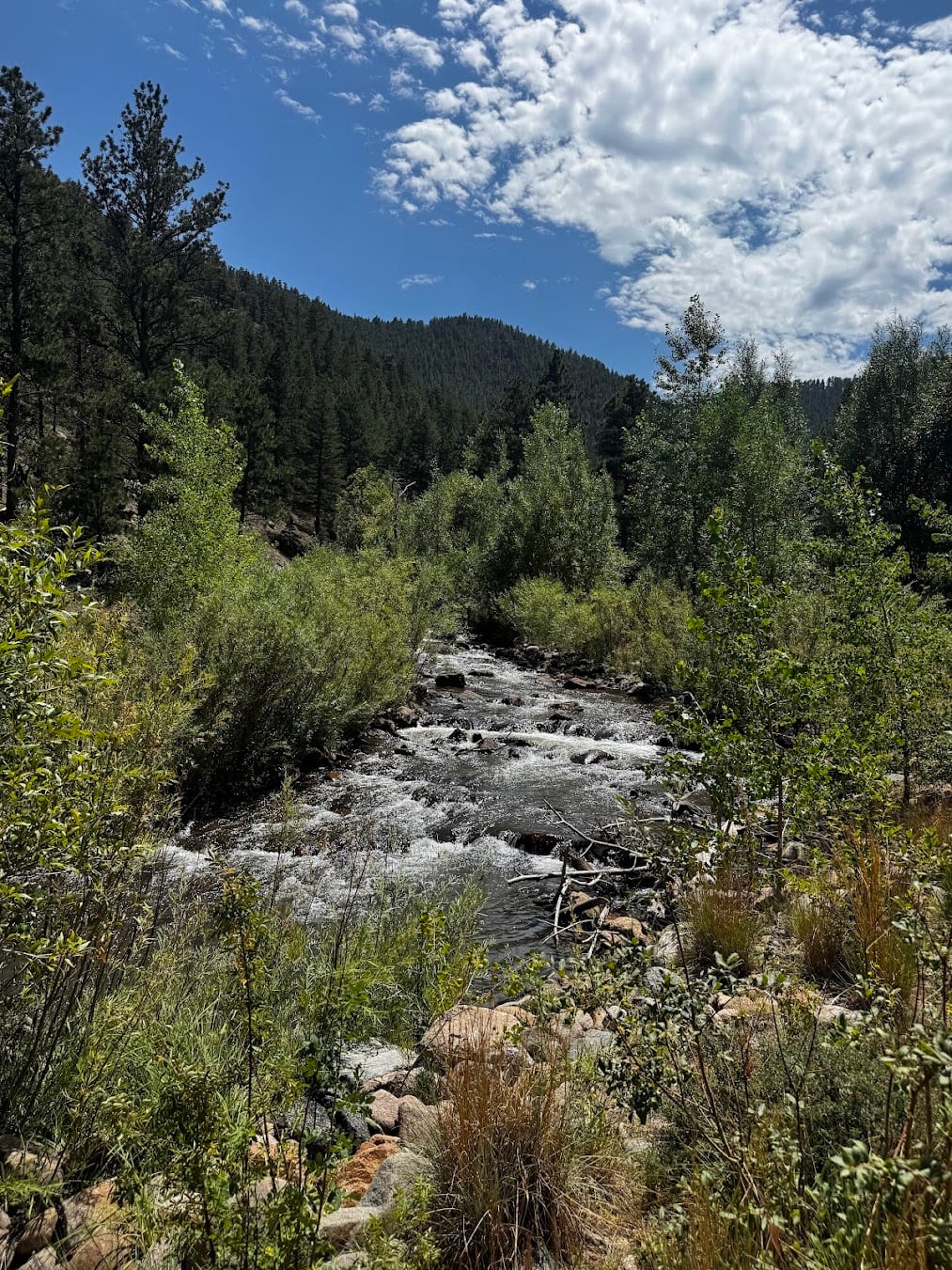 A rocky creek flowing through green shrubs and forest beneath a partly cloudy sky.