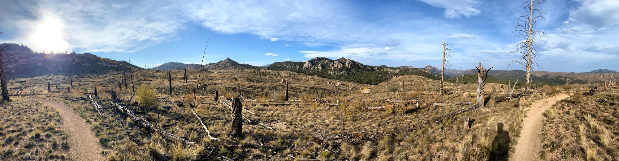 Two dirt trails fork across a dry, grassy hillside scattered with burned tree trunks, toward rocky peaks under a bright, cloudy sky.