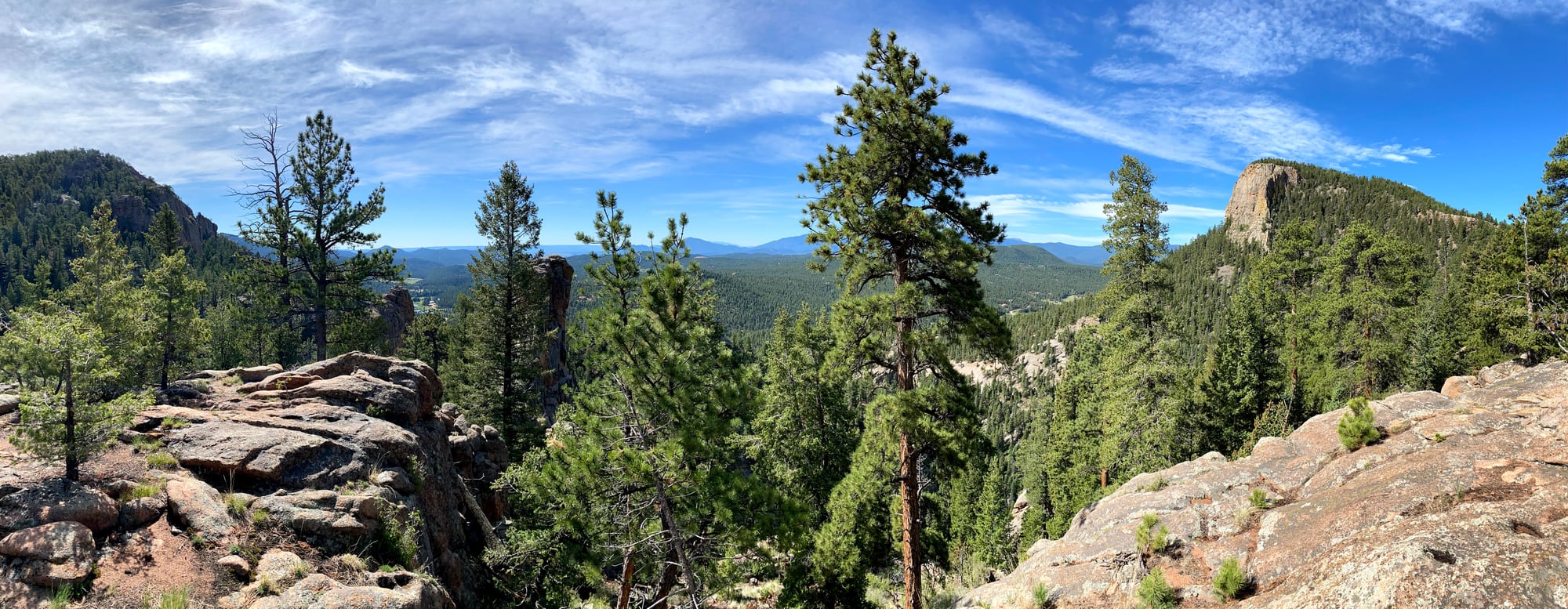 Pines growing between rock ledges, with forested ridges and a rock outcrop beyond.