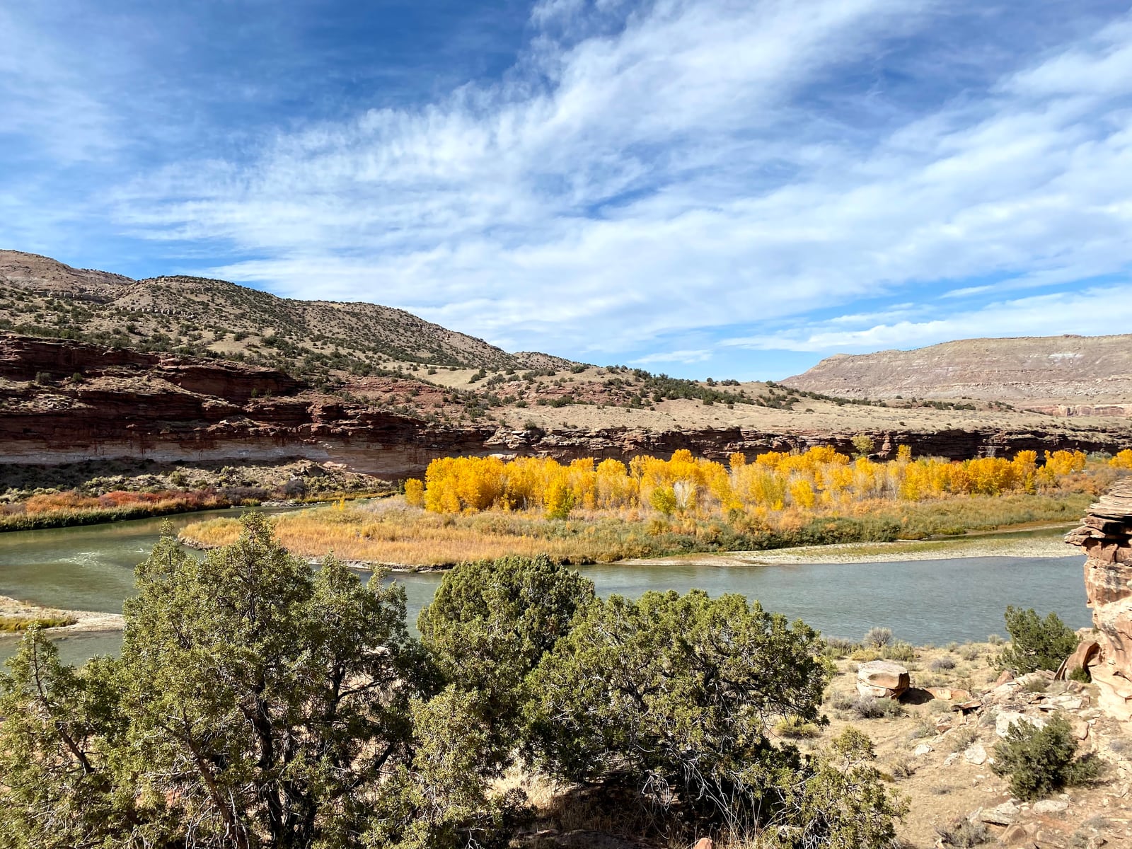 A river bending past golden cottonwoods and red cliffs, with junipers in front.