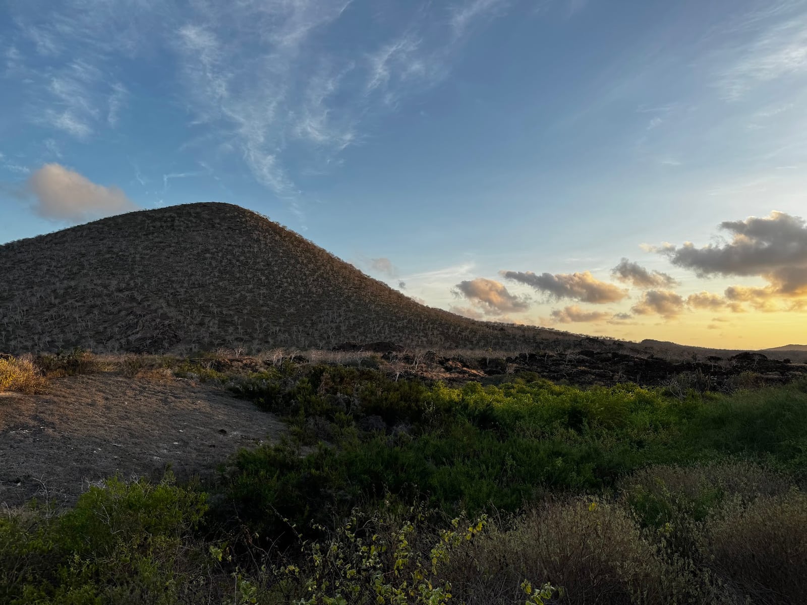 A rounded rocky hill and low shrubs beneath wispy clouds and warm light near the horizon.
