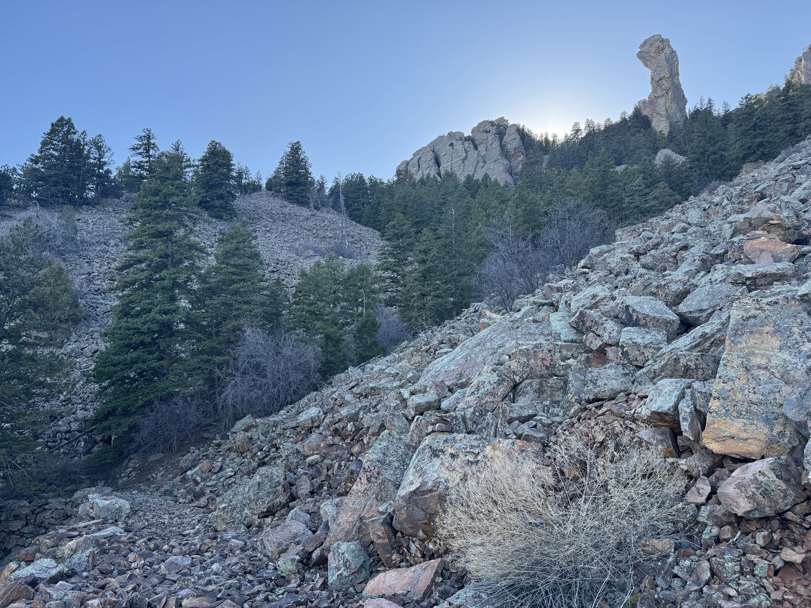 A rocky slope with pine trees and a tall stone spire beneath a clear blue sky.