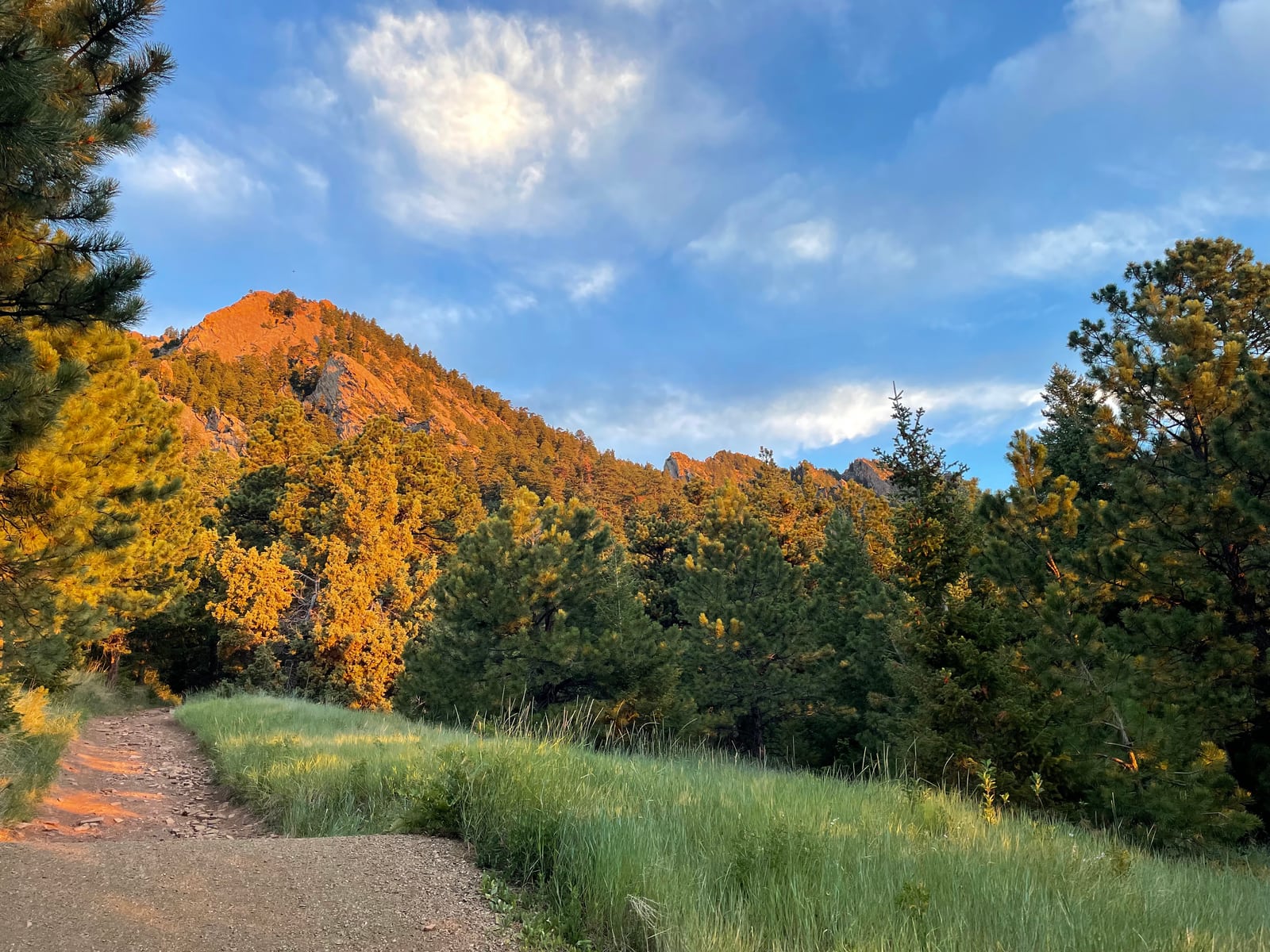 A dirt trail through green grass and golden trees, toward a rocky peak lit orange by low sun.